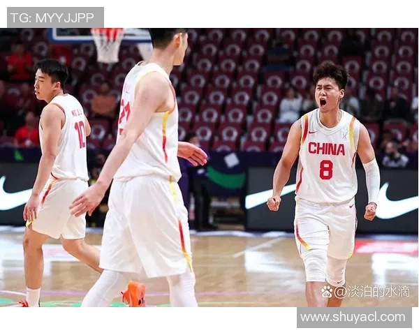 2012斯坦科维奇杯中国男篮迎战澳大利亚队全力争胜的精彩对决