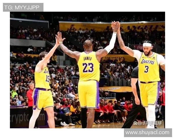 2013年湖人与开拓者精彩对决回顾及赛后分析