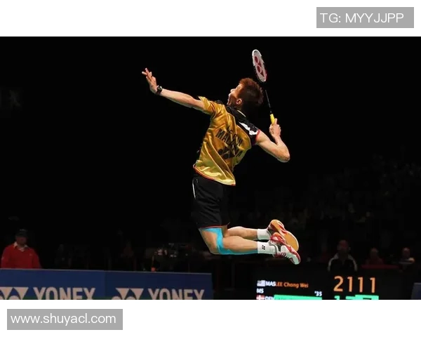 2014年羽毛球决战谌龙与李宗伟巅峰对决精彩回顾与分析